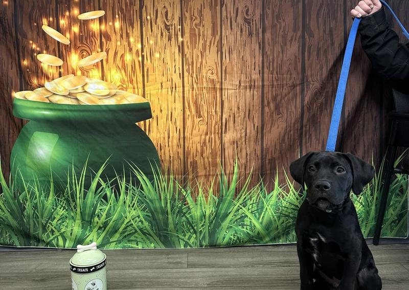 Carousel Slide 5: Meet 