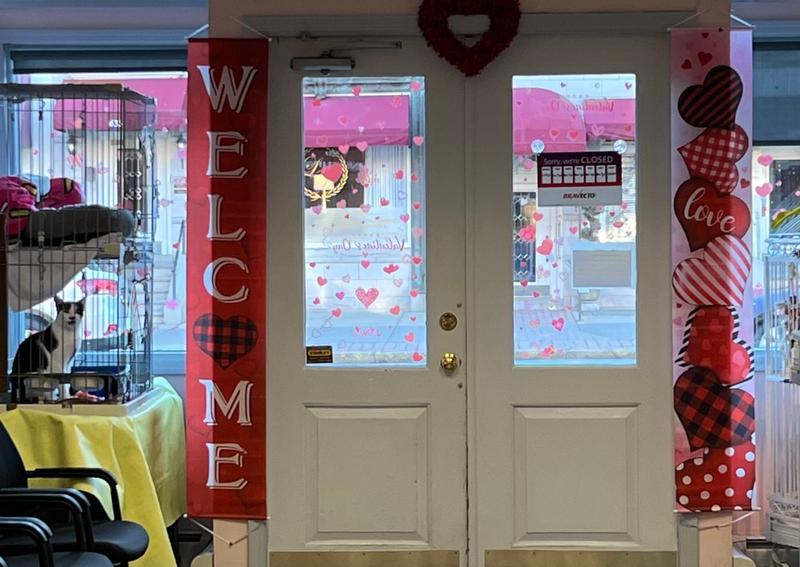 Hoboken Animal Hospital Veterinarians